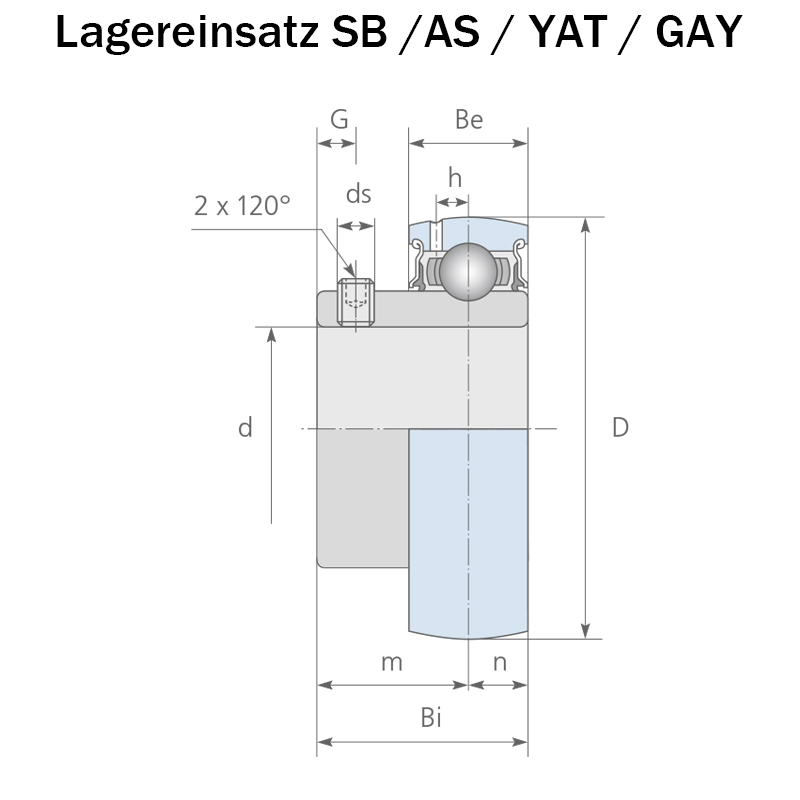  Lagereinsatz aus Wälzlagerstahl Zeichnung 